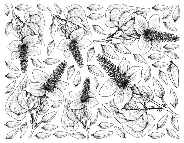Ręcznie rysowane tła Jaszczurczy ogon roślin - Wektor, obraz