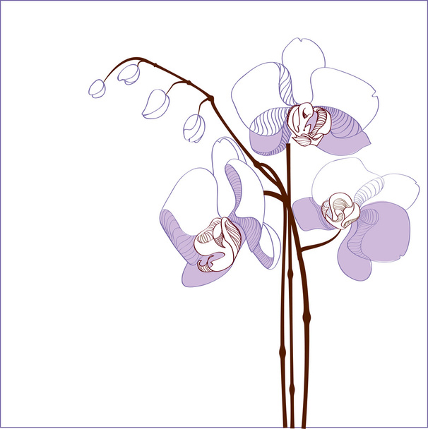 Elegance branch of purple orchids - vector illustration - Vector, Image