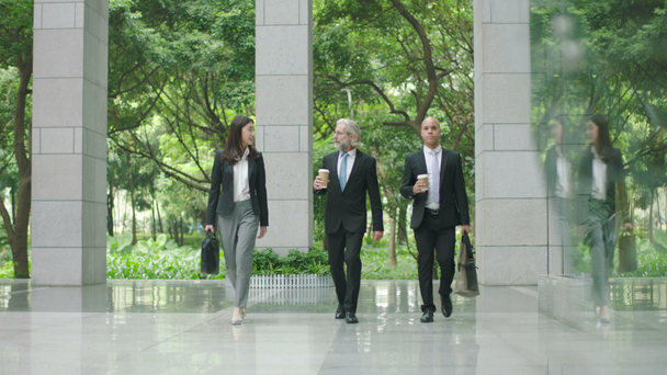 ejecutivos corporativos de cuello blanco con café o bolsa en la mano charlando mientras camina al trabajo en el edificio moderno
. - Metraje, vídeo