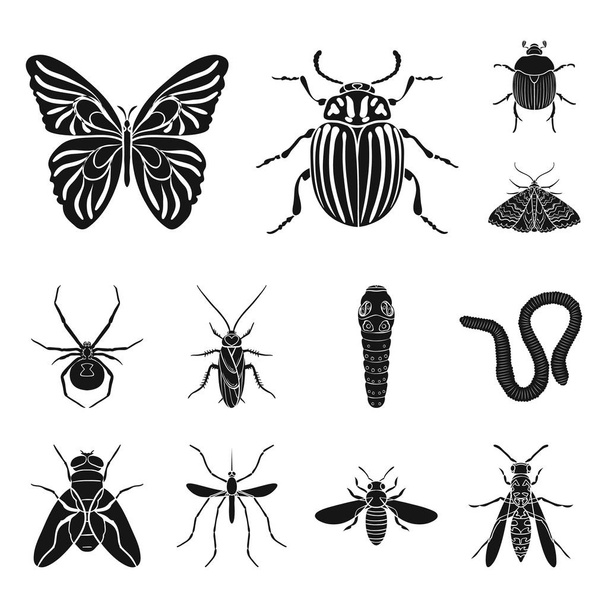 Different kinds of insects black icons in set collection for design. Insect arthropod vector symbol stock web illustration. - Vektori, kuva