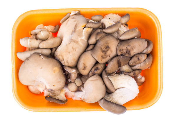 Cogumelos frescos cogumelos ostra em recipiente de plástico
 - Foto, Imagem