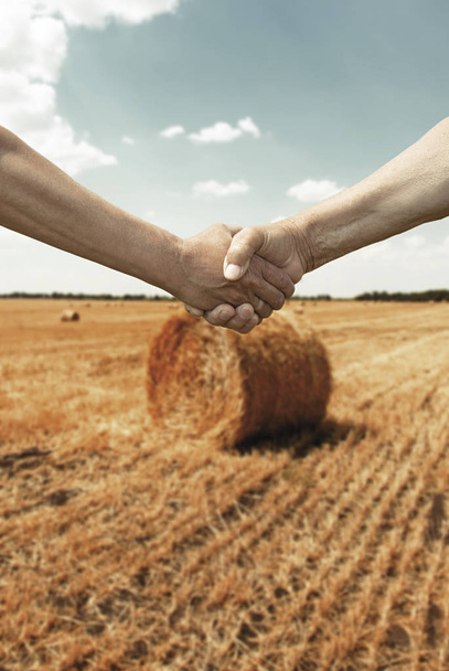 Rolnicy uzgadniania z pole pszenicy w czasie żniw - Zdjęcie, obraz