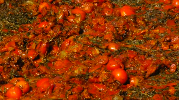 Ezilmiş domates, yakın çekim, domates Festivali - Video, Çekim