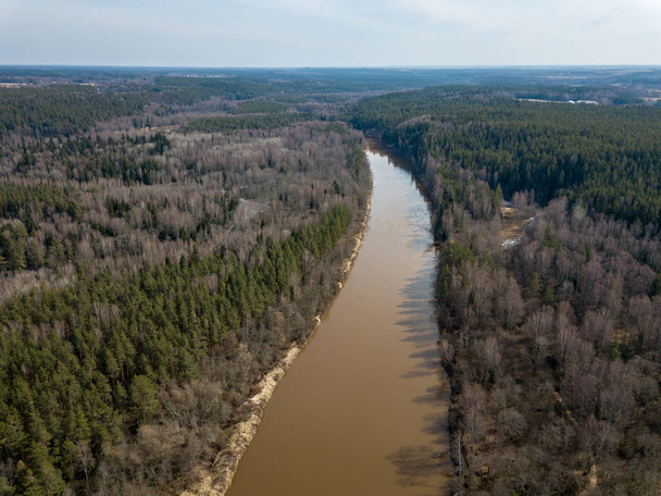 drone kép. a légi felvétel a tavaszi erdő-folyó. Gauja, Latvi - Fotó, kép