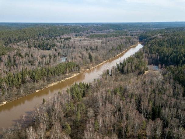 Drone obrazu. Widok z lotu ptaka rzeki lasu na wiosnę. Gauja, girll - Zdjęcie, obraz