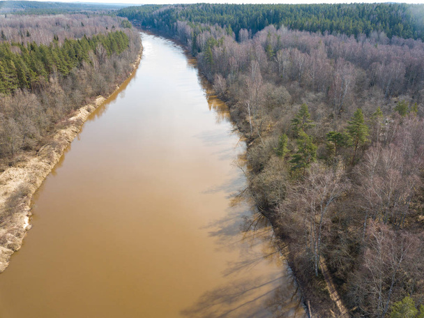 Drone obrazu. Widok z lotu ptaka rzeki lasu na wiosnę. Gauja, girll - Zdjęcie, obraz