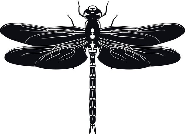 Black silhouette of dragonfly on white background. Vector illustration - Vector, Image