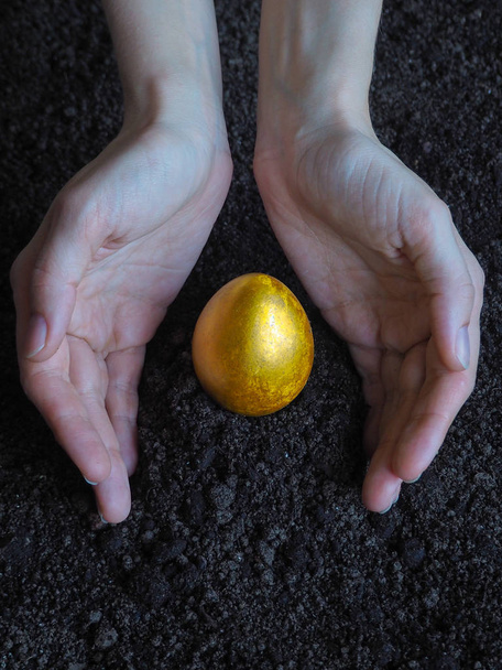 Golden egg in the hands of. The concept of a new life. - Фото, зображення