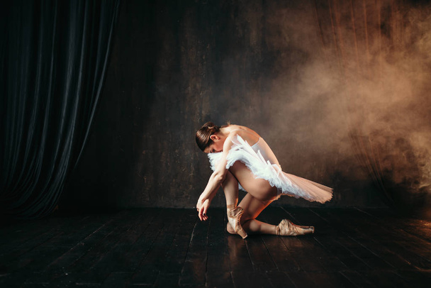 graceful and beautiful ballerina - Foto, Imagen