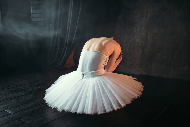 изящная и красивая балерина на сцене, вид сзади
 - Фото, изображение
