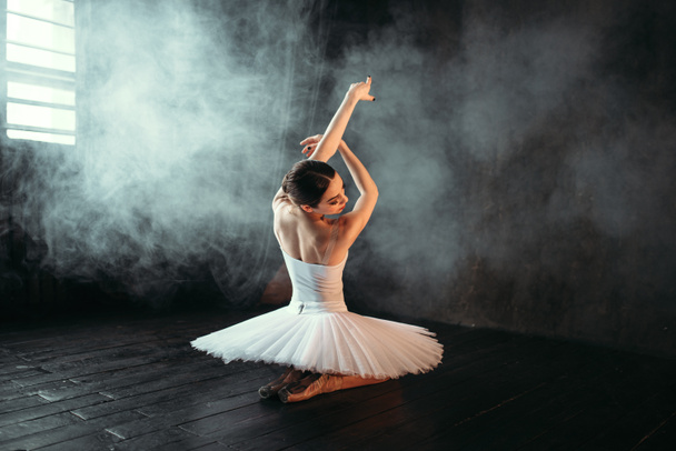 bailarina elegante y hermosa
 - Foto, imagen