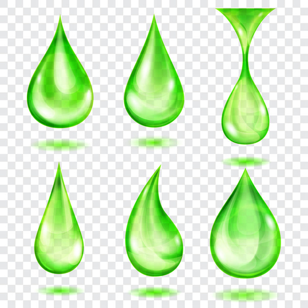 Translucent green drops - Vector, Image