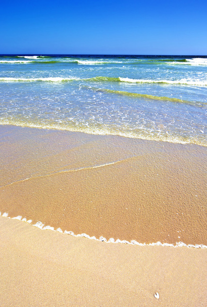 αμμώδη παραλία και τον ωκεανό - Φωτογραφία, εικόνα