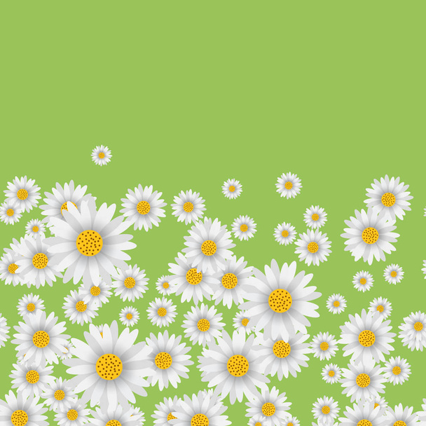 Spring background with falling chamomile on green background. Vector. - Vector, Image