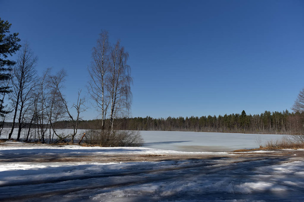 lake in Karelia covered with snow and ice - Fotoğraf, Görsel