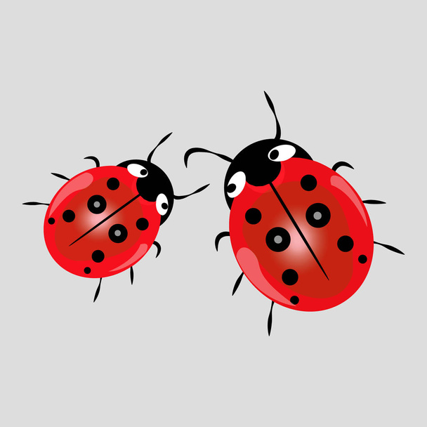 Ladybug isolated on white, vector illustration, eps-10 - ベクター画像