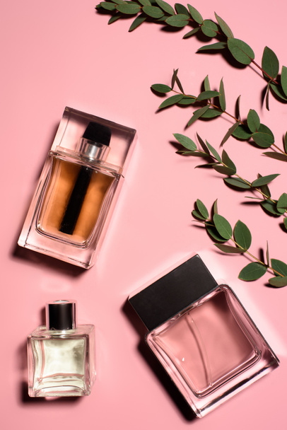 top view of bottles of perfumes with green branches on pink surface - Фото, зображення