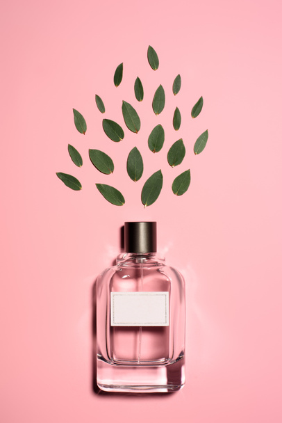 Widok z góry butelki aromatyczne perfumy z składa się z zielonych liści na powierzchni różowy - Zdjęcie, obraz