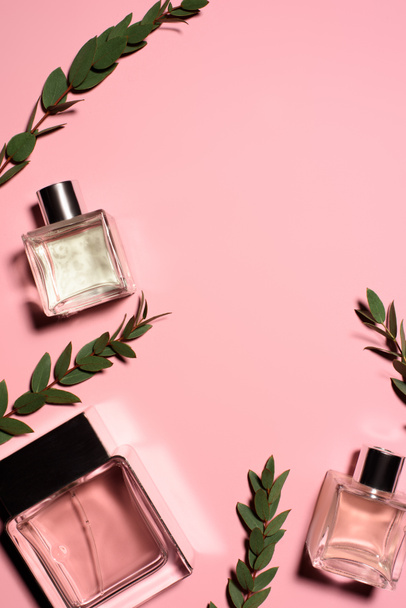 top view of bottles of perfumes with green branches on pink surface - Foto, immagini