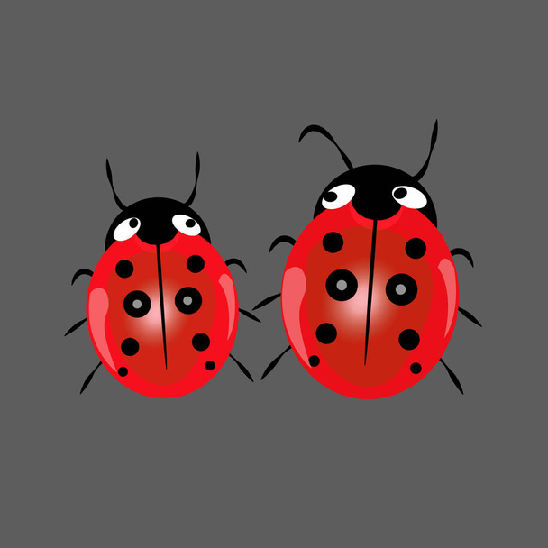 Ladybug isolated on black, vector illustration, eps-10 - Vector, Image