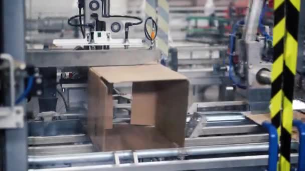 Cardboard package box packing machine. Clip. Box forming production line - Footage, Video