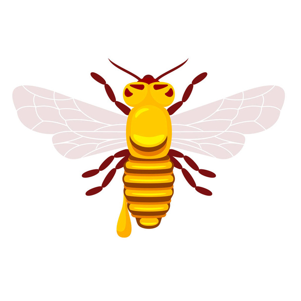 Včely a med - Vektor, obrázek