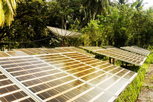Large solar panels in the rainforest. - Photo, Image