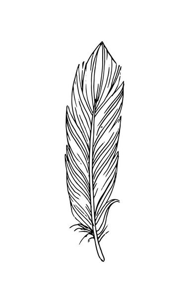 Hand drawn vector feathers in boho style. Isolated on white background. - Vector, Image