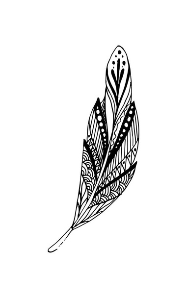 Hand drawn vector feathers in boho style. Isolated on white background. - Vector, Image