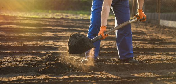 Ο κηπουρός σκάβει στον κήπο με ένα φτυάρι - Φωτογραφία, εικόνα