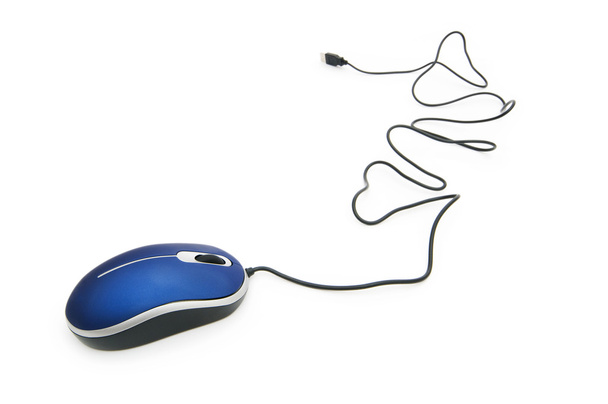 Computer mouse isolated - Photo, Image