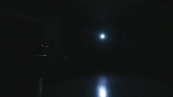 silhouet van een paar die danst in de trainingsruimte - Video