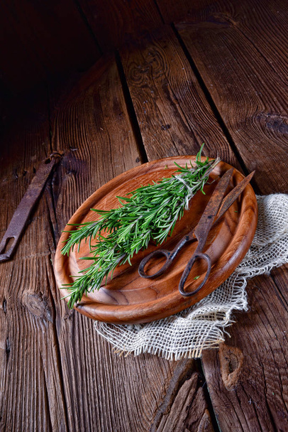 Herbal collection of thyme,oregano, rosemary - Fotografie, Obrázek