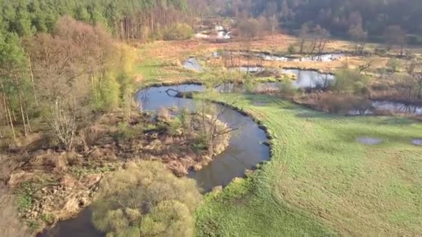 Bolimow / Polónia - data: 04142018. Tiro aéreo de rio pequeno, curvilíneo. Pequeno rio visto de cima em luz de primavera
. - Filmagem, Vídeo