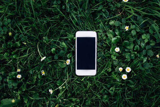 携帯電話の形の現代技術と草の形で自然の興味深い組み合わせ - 写真・画像