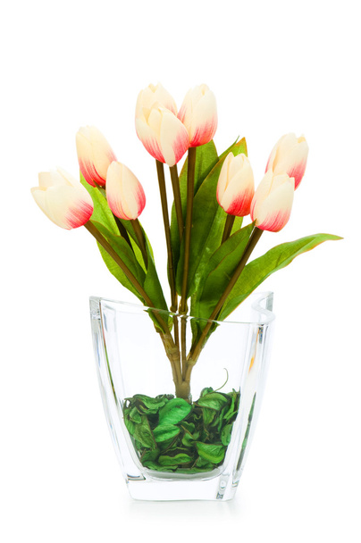 színes tulipán elszigetelt - Fotó, kép
