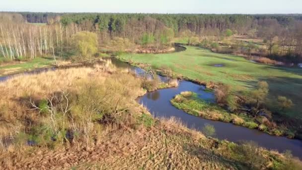 Bolimow / Polónia - data: 04142018. Tiro aéreo de rio pequeno, curvilíneo. Pequeno rio visto de cima em luz de primavera
. - Filmagem, Vídeo