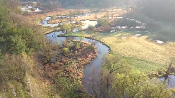 Bolimow / Polsko - Datum: 04142018. Letecký snímek řeky malé, dobře vyvinutá. Říčka z ptačí perspektivy v jarním světle. - Záběry, video