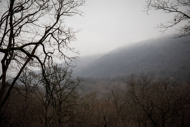 Krajobraz z piękna mgła w lesie na wzgórzu lub szlak przez tajemnicze zimowe lasy z jesiennych liści na ziemi. Droga przez las zima. Magiczną atmosferę. Azerbejdżan - Zdjęcie, obraz