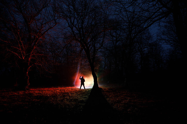 strange light in a dark forest at night. Silhouette of person standing in the dark forest with light. Dark night in forest at fog time. Surreal night forest scene. Horror halloween concept. - Photo, Image