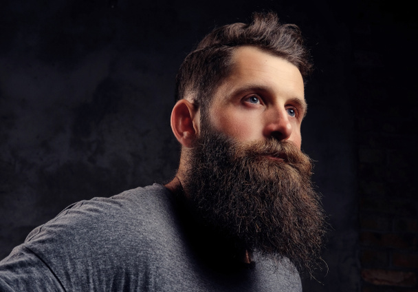 Close-up portrait of a hipster with full beard and stylish haircut, dressed in a gray t-shirt, stands in a studio on a dark background. - Photo, Image