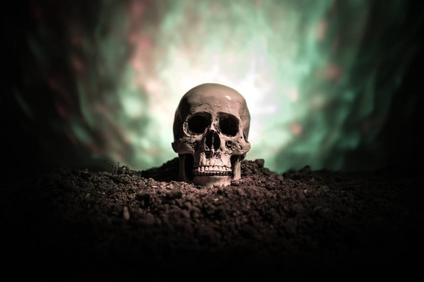 frontview of human skull open mouth on dark toned foggy background. Horror concept. - Φωτογραφία, εικόνα
