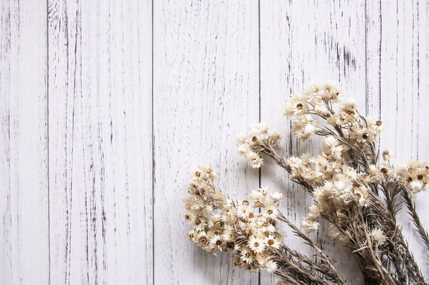 Naturaleza jardín planta margarita flor seca retro blanco pintado madera
  - Foto, imagen