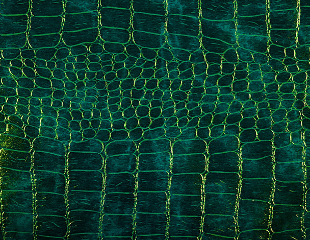 Closeup λεπτομέρεια από την δέρματα φίδι - Φωτογραφία, εικόνα