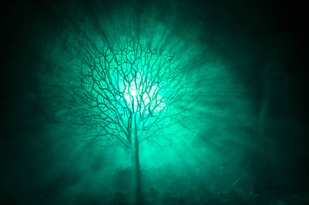 Silhouette di spaventoso albero di Halloween con volto horror su sfondo scuro nebbioso tonica con la luna sul retro. Spaventoso albero dell'orrore con zombie e demoni volti
. - Foto, immagini