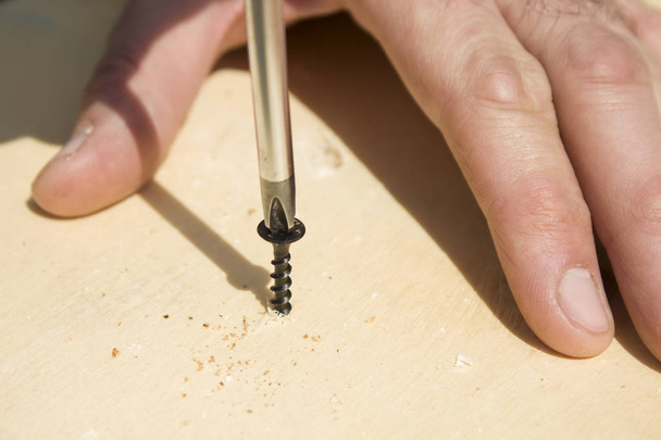Worker's hands screw in the screw using a screwdriver. The carpenter screws the gold screw with a screwdriver. - Photo, image