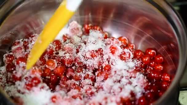 Piros ribizli, cukor, egy serpenyőben. A lekvárt főzni - Felvétel, videó