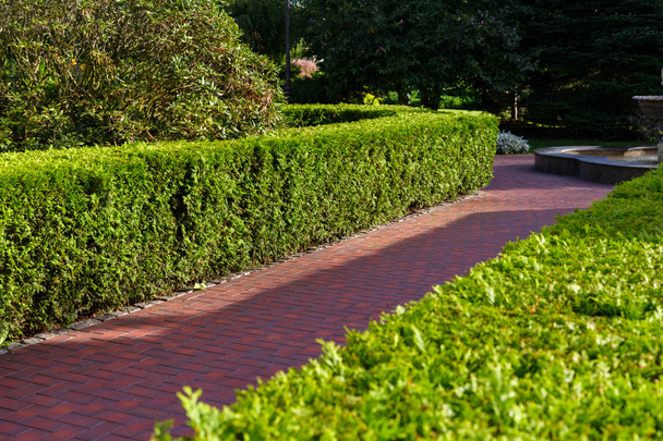 decorated stone paths in landscape design - Photo, Image