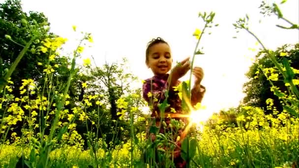 αφρικανική αμερικανική κοριτσάκι που παίζει σε ένα πεδίο - Πλάνα, βίντεο