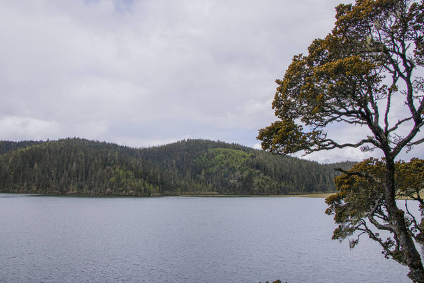 Montanha lago vista da natureza no parque nacional de Pudacuo em Shangri La
 - Foto, Imagem